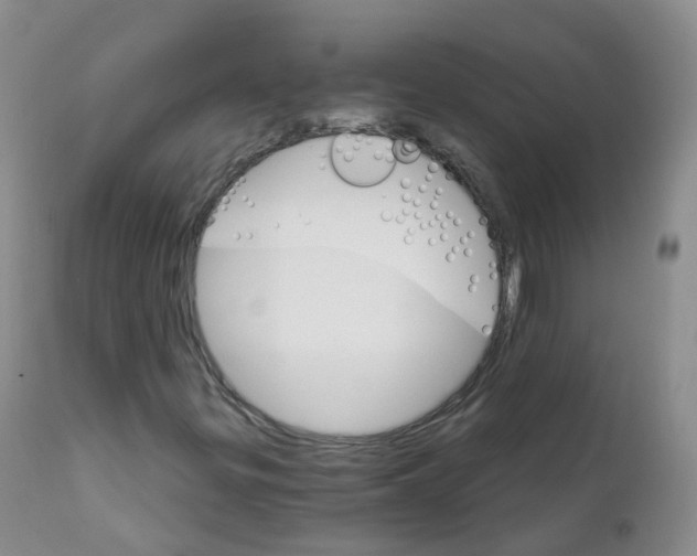 X0000111931299200908241105