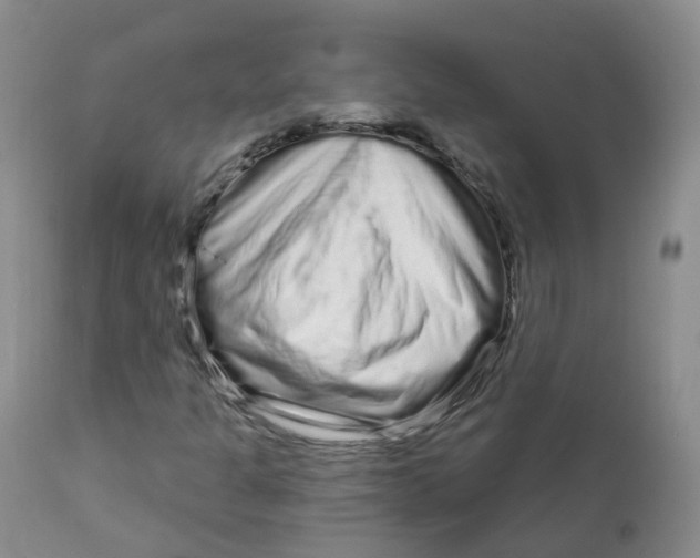 X0000111931301200908241105