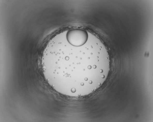 X0000111931302200908241105