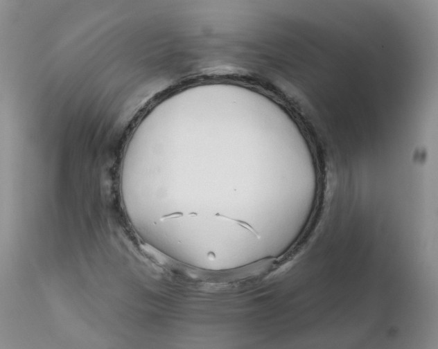 X0000111931305200908241105