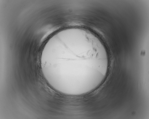 X0000111931306200908241105