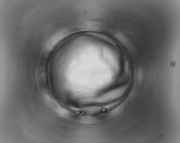 X0000111931307200908241105