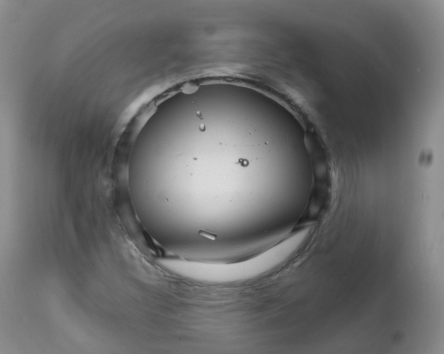 X0000111931308200908241105