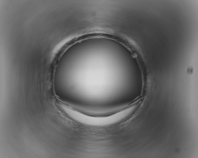 X0000111931310200908241106