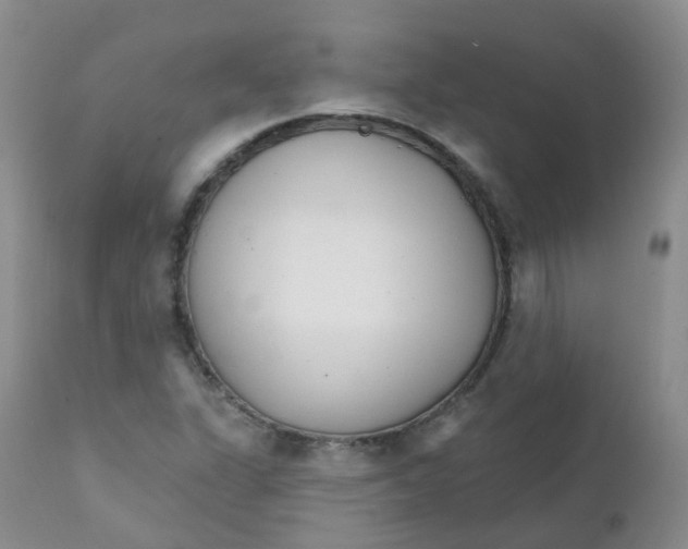 X0000111931311200908241106