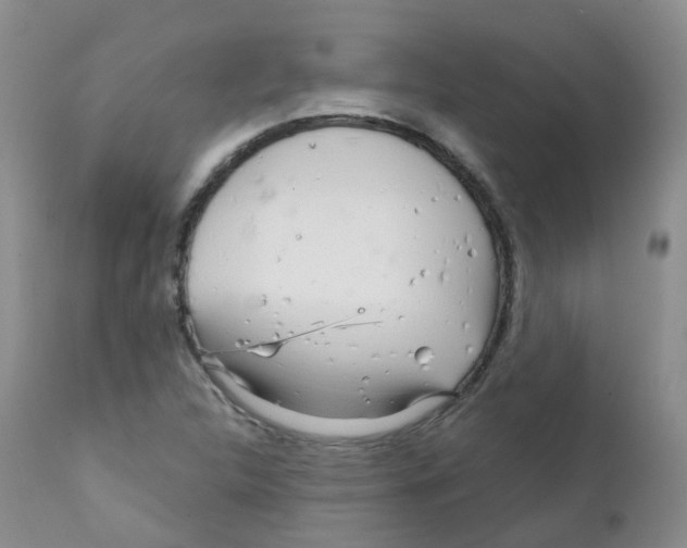 X0000111931312200908241106