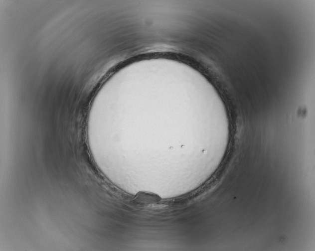 X0000111931313200908241106