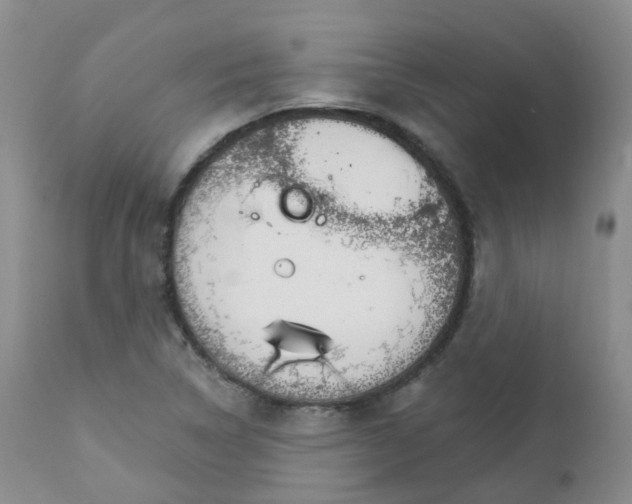 X0000111931314200908241106