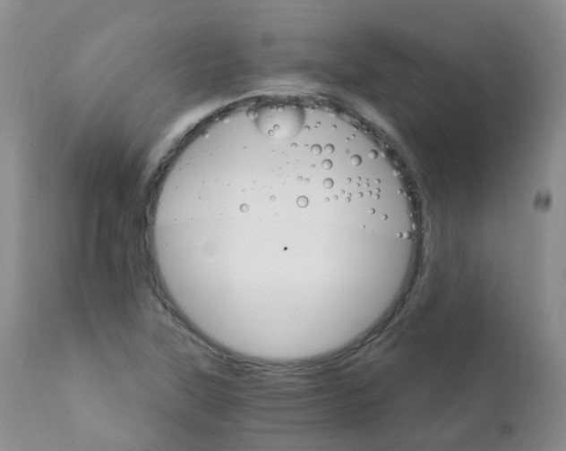 X0000111931315200908241106