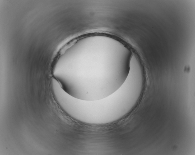 X0000111931316200908241106