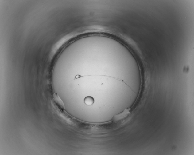 X0000111931318200908241106