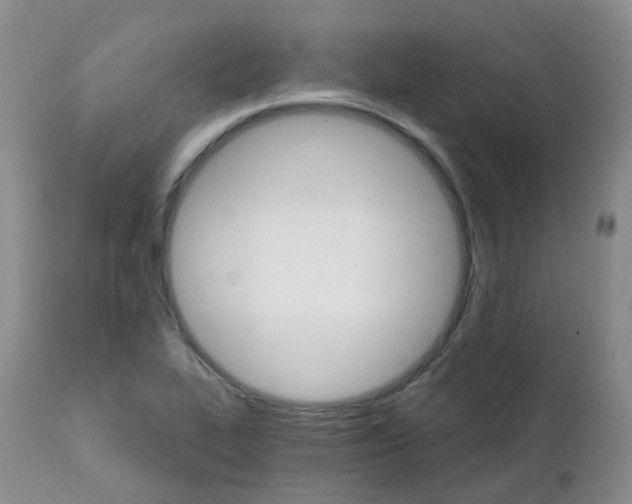 X0000111931319200908241106