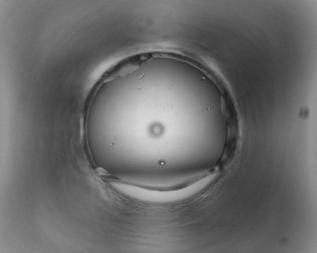 X0000111931320200908241106