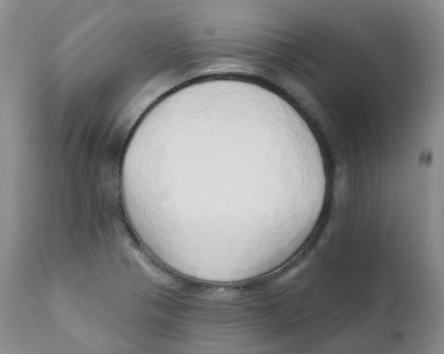 X0000111931321200908241106