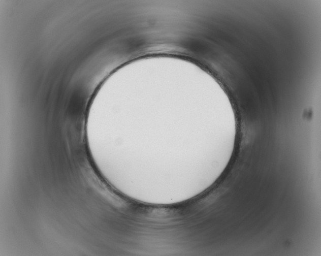 X0000111931322200908241106