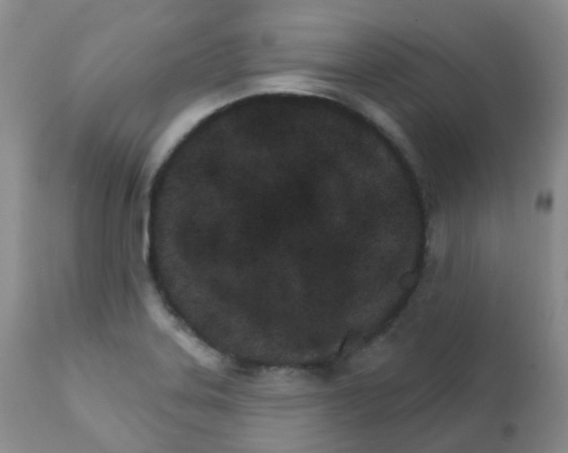 X0000111931323200908241106