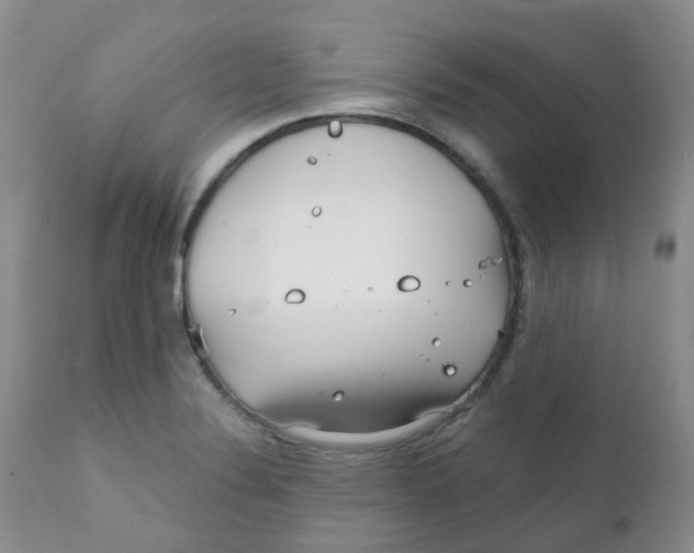 X0000111931324200908241106