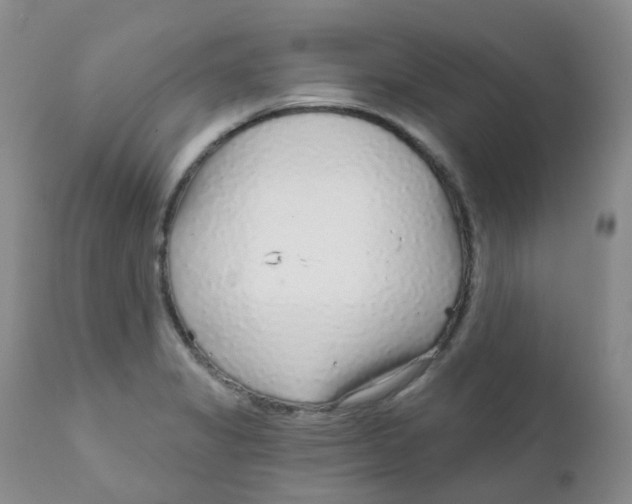 X0000111931325200908241106