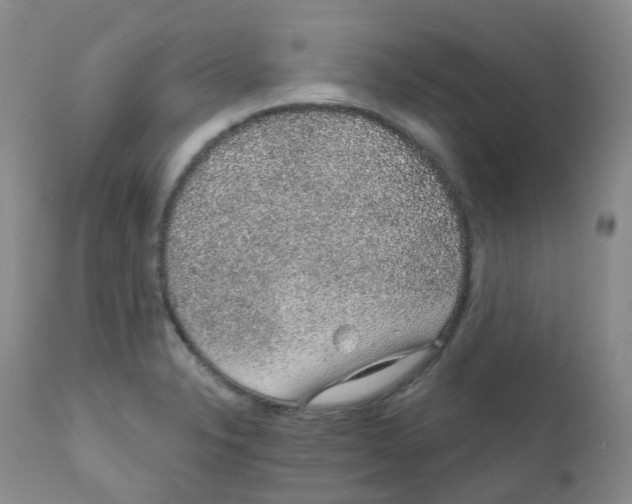 X0000111931326200908241106