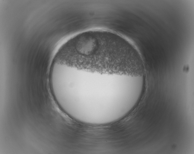 X0000111931327200908241106