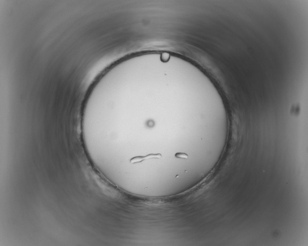 X0000111931328200908241106