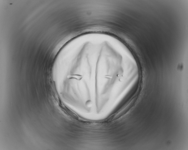 X0000111931329200908241106