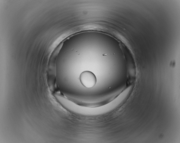 X0000111931330200908241106