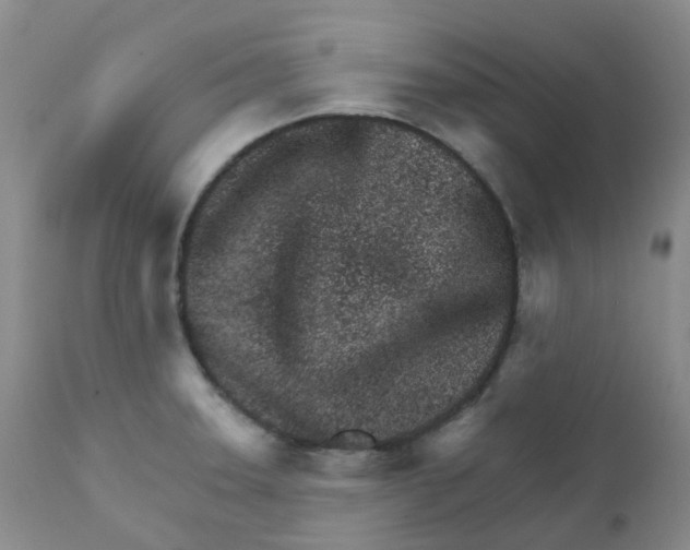 X0000111931331200908241106