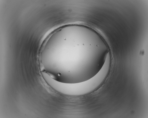 X0000111931332200908241106