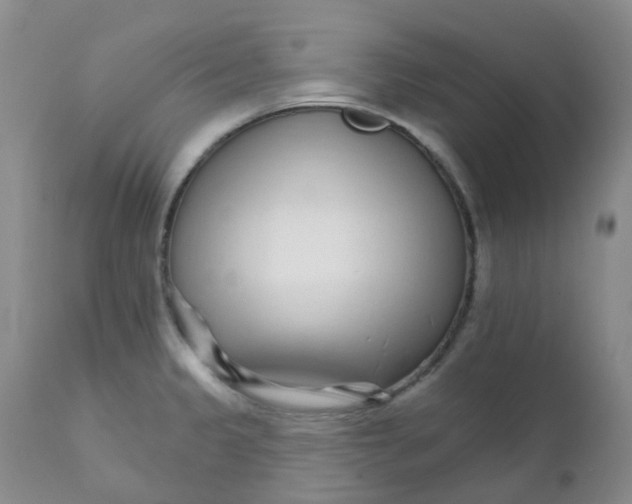 X0000111931333200908241106