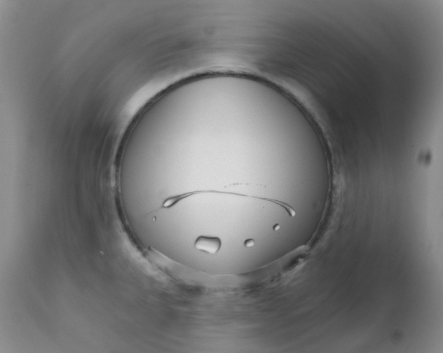 X0000111931335200908241106