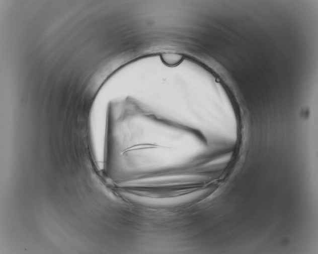 X0000111931337200908241106