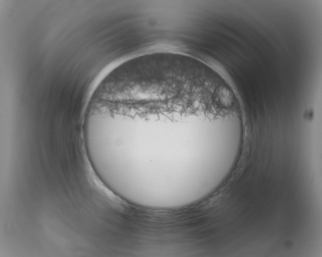 X0000111931339200908241106