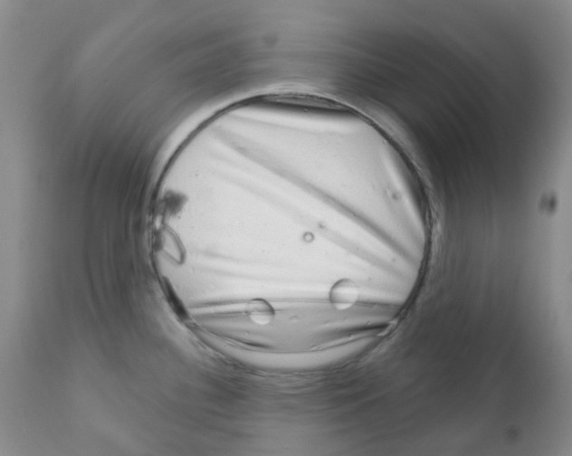 X0000111931340200908241106