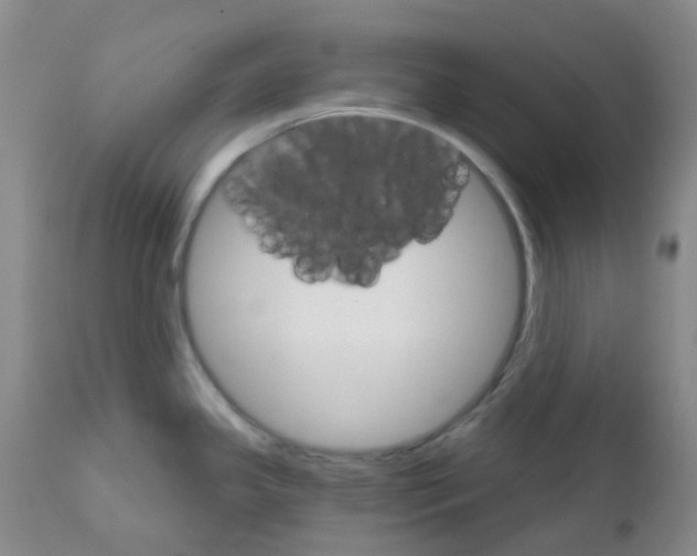 X0000111931341200908241106