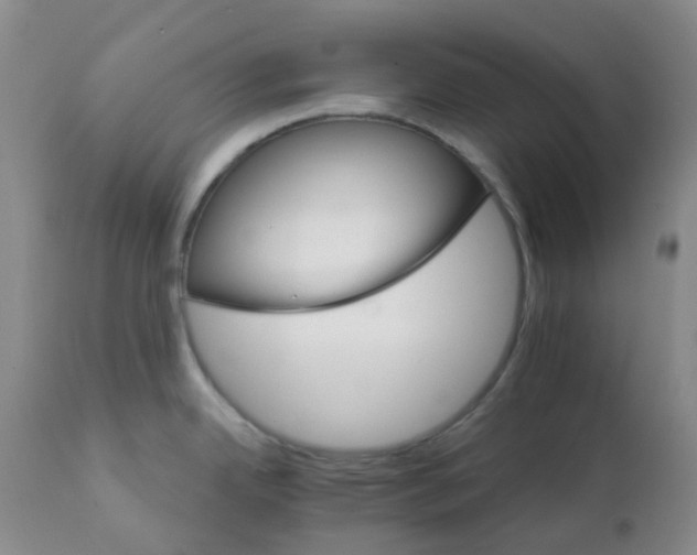 X0000111931342200908241106