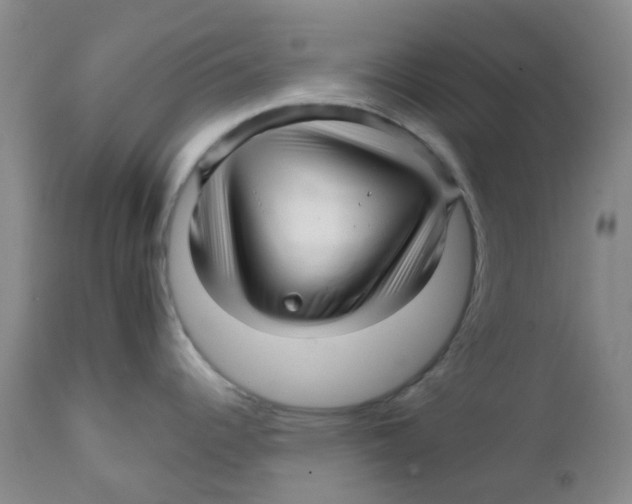 X0000111931344200908241106