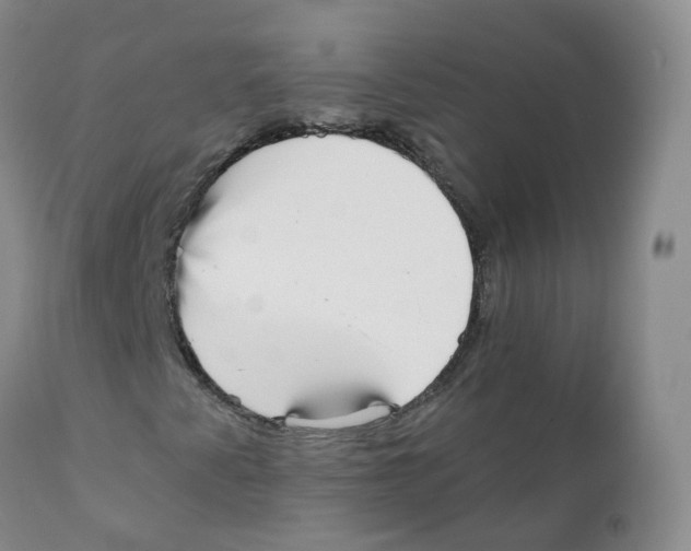 X0000111931345200908241105