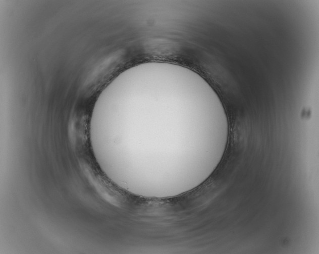 X0000111931346200908241105