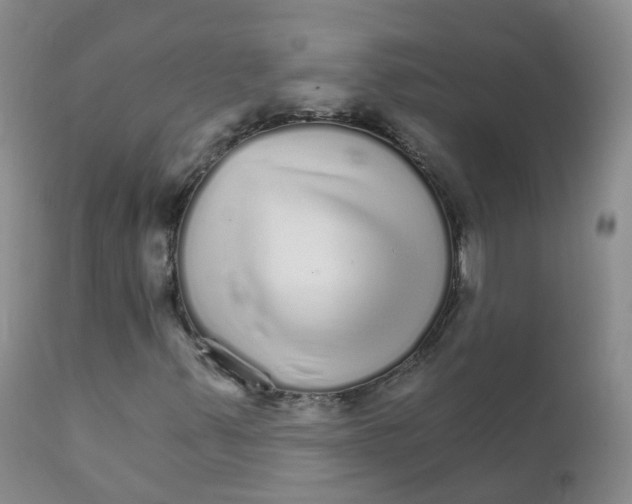 X0000111931347200908241105