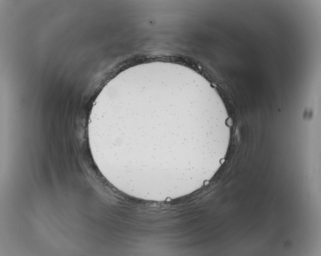 X0000111931348200908241105