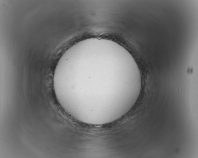 X0000111931349200908241105