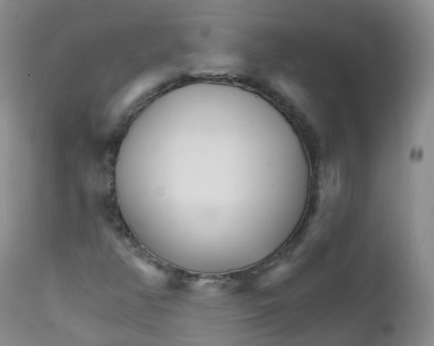 X0000111931350200908241105