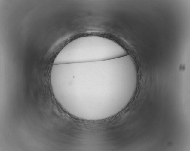 X0000111931351200908241105