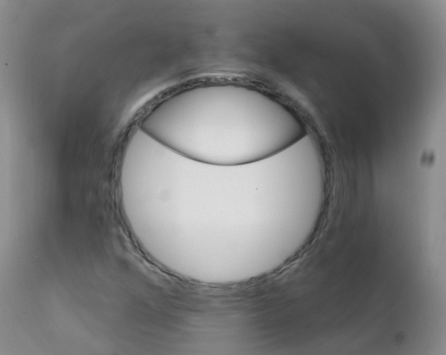 X0000111931352200908241105