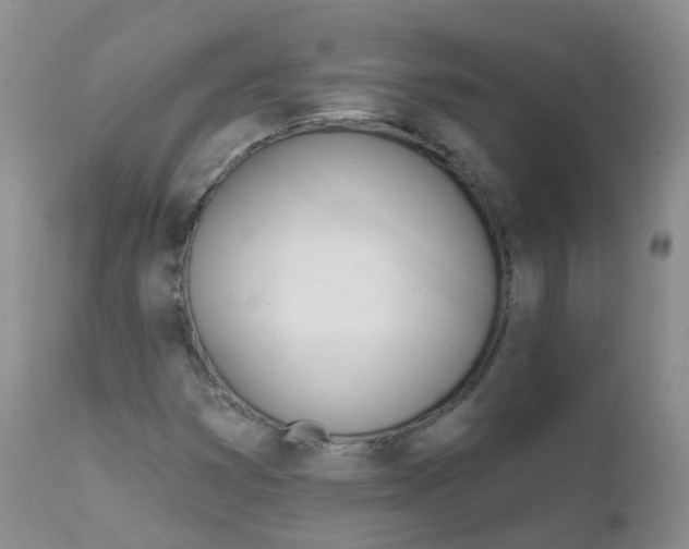 X0000111931353200908241105