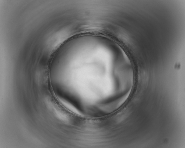 X0000111931354200908241105