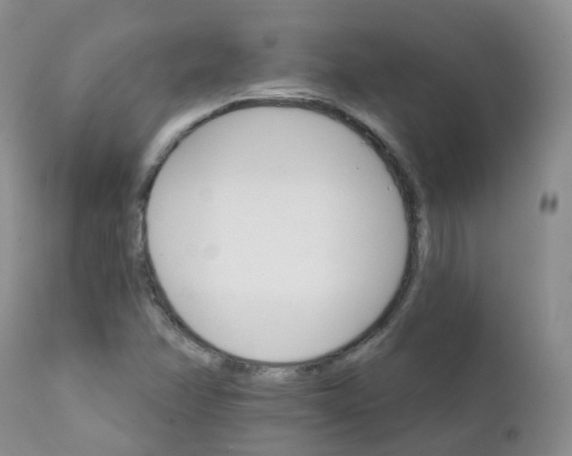 X0000111931358200908241105