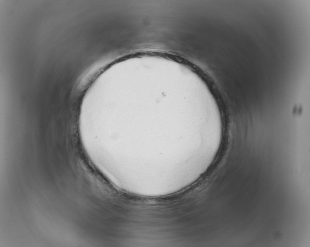 X0000111931359200908241105