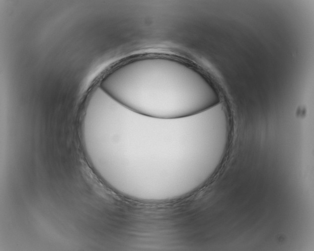 X0000111931360200908241105